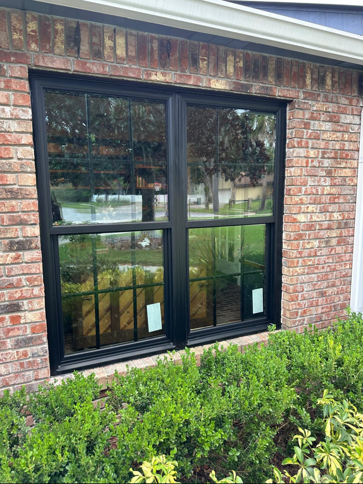 New Window Installations